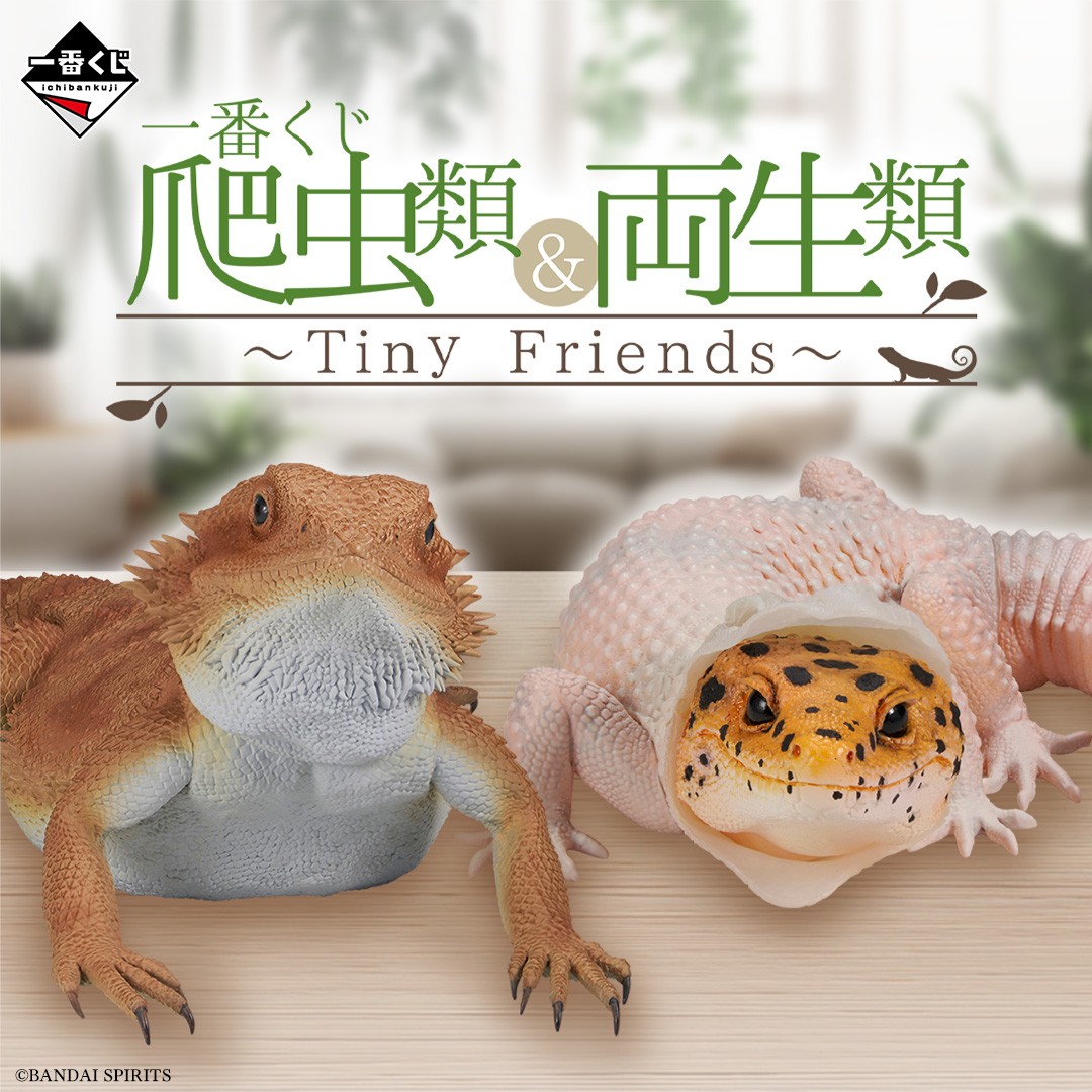 一番くじ 爬虫類＆両生類～Tiny Friends～｜一番くじONLINE